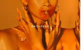 Oktapuss.com Screenshot 2024-04-26 18:25:33
