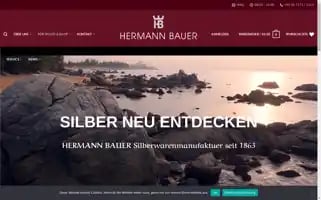 Hermann-bauer-silver.com Screenshot 2024-07-02 22:31:40