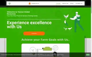 Tocnocglobal.com Screenshot 2024-05-26 11:18:18