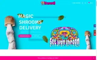 Getwellshroom.com Screenshot 2024-05-24 07:20:58