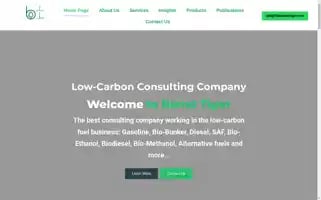 Theblendtiger.com Screenshot 2024-05-17 05:53:26