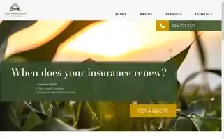 Texasagins.com Screenshot 2024-06-17 06:45:02