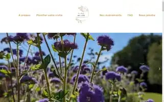 Aillys.ca Screenshot 2024-05-22 11:23:49