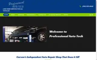 Professionalautotechs.com Screenshot 2024-06-28 19:05:48