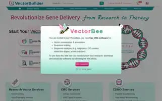 Vectorbuilder.com Screenshot 2024-05-14 20:32:42