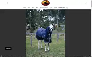 Bangforyourbuckhorsegear.com.au Screenshot 2024-05-15 13:29:13