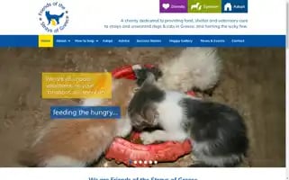 Straysofgreece.org Screenshot 2024-07-02 19:12:06