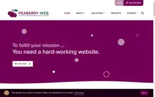Peaberryweb.com Screenshot 2024-07-01 16:33:05