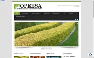 Opeesa.com Screenshot 2024-07-05 09:26:50