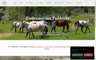 Auvergnetourismeequestre.fr Screenshot 2024-04-17 07:10:18