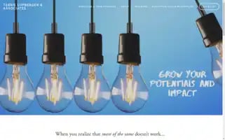 Terrielupberger.com Screenshot 2024-07-04 05:19:03