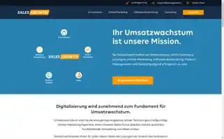 Salesgrowth.io Screenshot 2024-06-11 06:28:50