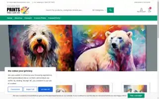 Colourartprints.co.uk Screenshot 2024-05-23 13:40:33