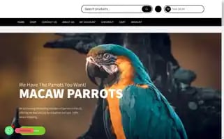 Buymacawparrotsonline.com Screenshot 2024-05-28 05:44:02