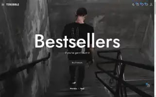 Tebubble.com Screenshot 2024-05-19 19:35:18