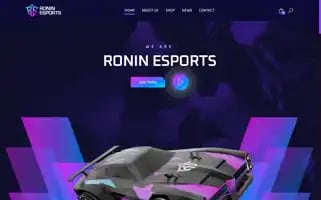 Roninesports.org Screenshot 2024-05-19 09:41:04