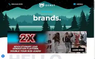 Widenetconsulting.com Screenshot 2024-07-01 01:57:30