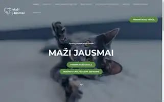 Mazijausmai.lt Screenshot 2024-05-19 02:03:50