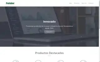 Prolabor.es Screenshot 2024-07-04 08:51:50