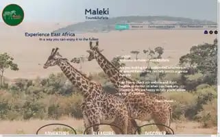 Malekitours.com Screenshot 2024-04-25 12:32:05