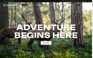 Bleausard-world.com Screenshot 2024-06-27 07:29:09