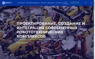 Prof-itgroup.ru Screenshot 2024-06-29 04:34:45