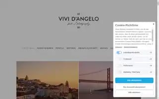 Vividangelo.com Screenshot 2024-07-04 07:47:06