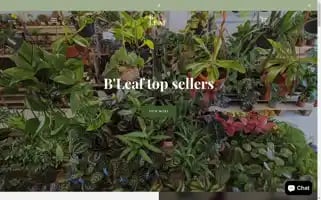 Bleafplants.co.uk Screenshot 2024-04-18 06:56:13