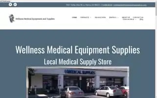 Wellnesshealthcaresupplies.com Screenshot 2024-05-15 01:21:40