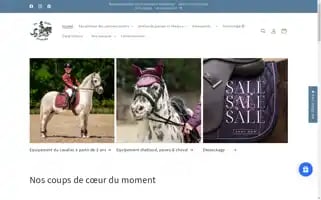 En-selle-prunelle.fr Screenshot 2024-04-23 19:44:23