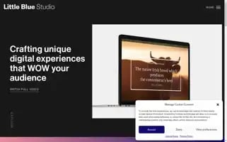 Littlebluestudio.ie Screenshot 2024-06-18 17:22:08