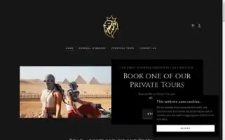 Lionstravelco.com Screenshot 2024-04-22 14:28:04