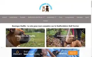 Staffieboutique.com Screenshot 2024-05-19 16:49:47
