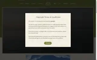 Projectmessagetoyou.com Screenshot 2024-05-19 18:47:41