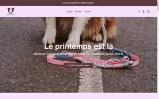 Pook-look.com Screenshot 2024-04-27 15:48:32