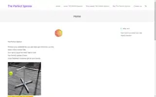 Theperfectspinner.com Screenshot 2024-05-22 14:14:39