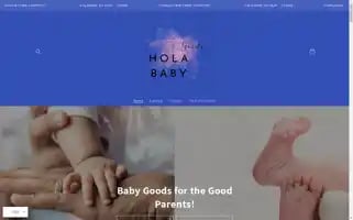 Holagoods.shop Screenshot 2024-05-03 08:56:26