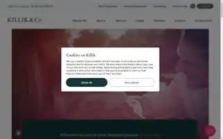 Killik.com Screenshot 2024-06-30 21:18:18