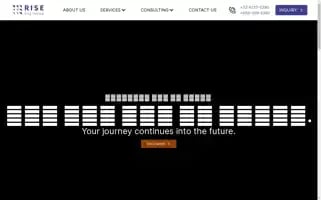 Risepartners.ca Screenshot 2024-06-27 05:49:02
