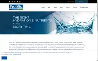 Techmixglobal.com Screenshot 2024-06-17 01:05:10