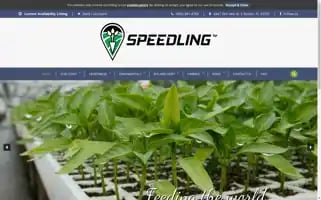 Speedling.com Screenshot 2024-07-05 05:09:30