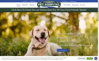 Hudsonpethospital.com Screenshot 2024-07-06 03:18:19