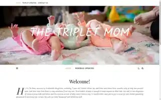 Thetripletmom.com Screenshot 2024-04-22 22:53:27