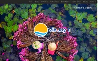 Viejoytravel.com Screenshot 2024-04-14 08:13:46