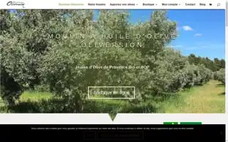 Domaineoliversion.fr Screenshot 2024-07-03 03:20:36