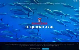 Rianxeira.com Screenshot 2024-07-04 22:24:42