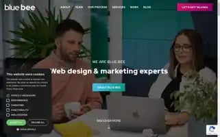 Bluebee.co.uk Screenshot 2024-07-02 19:11:27