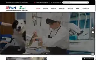 Furiscale.com Screenshot 2024-07-07 06:52:18