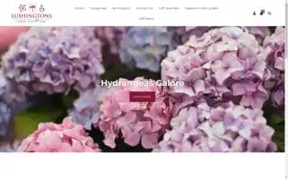 Lushingtons.co.nz Screenshot 2024-06-29 17:09:45