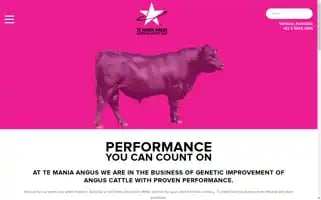 Temaniaangus.com Screenshot 2024-07-02 06:37:15